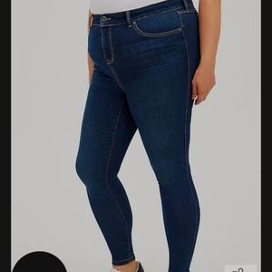 Torrid Skinny Jeans